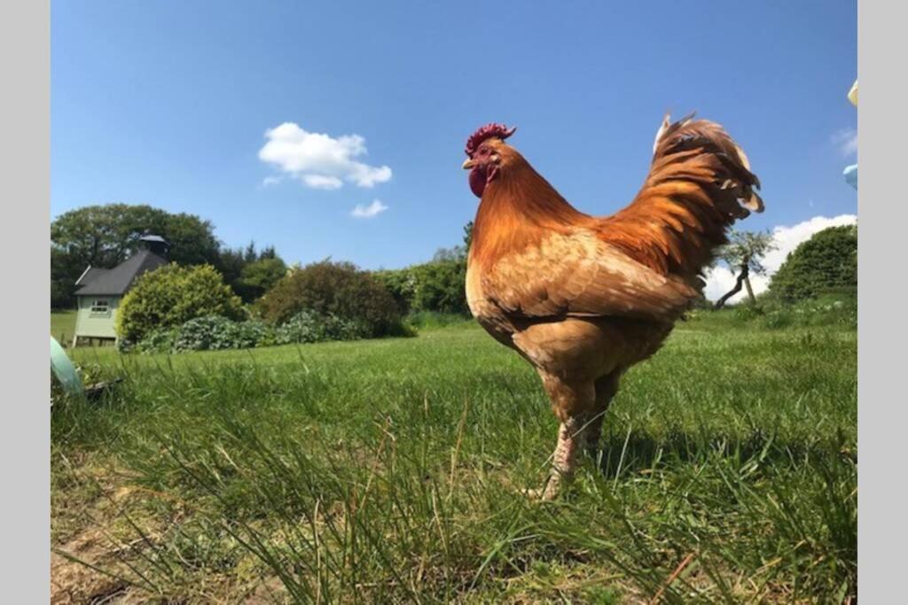 Bridge of Weir South Barlogan Farmヴィラ エクステリア 写真